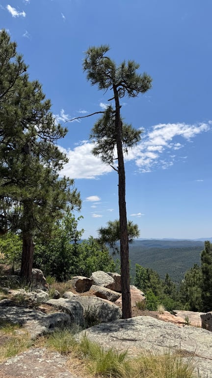 Mogollon Rim Overlooks