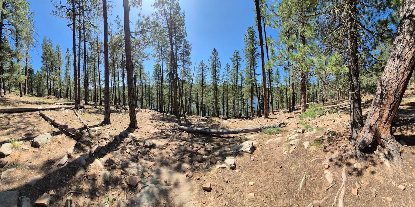 Mogollon Rim Overlooks