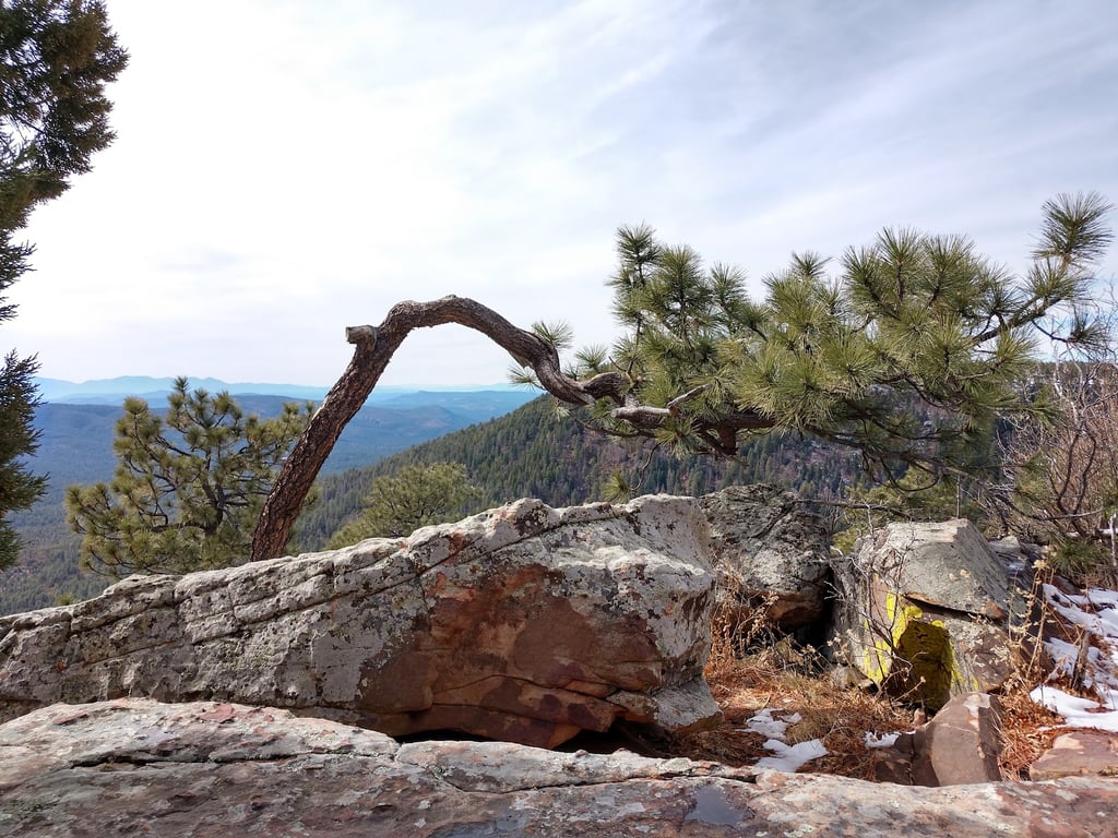 Mogollon Rim Overlooks
