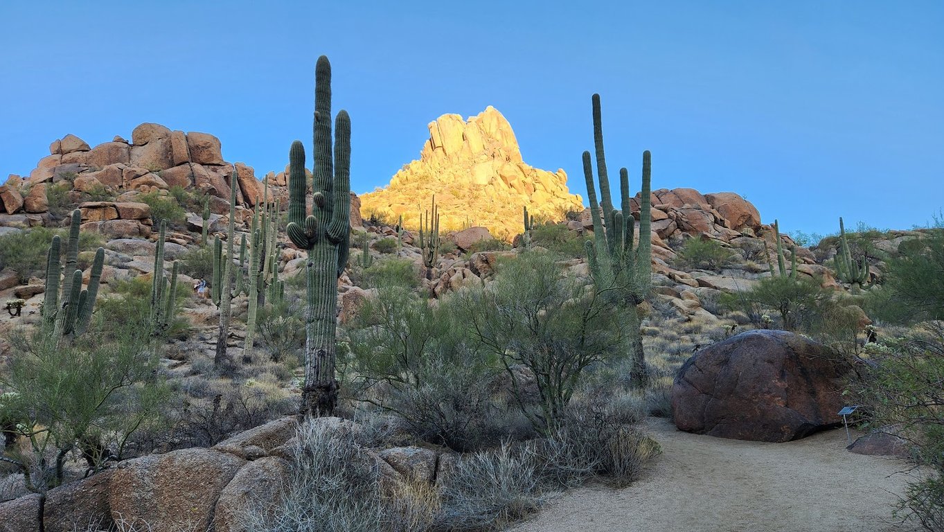 Pinnacle Peak Park
