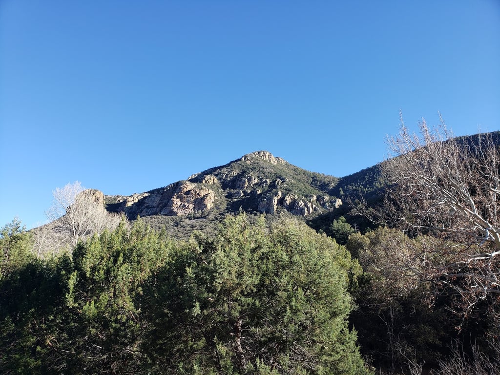 Ramsey Canyon Preserve