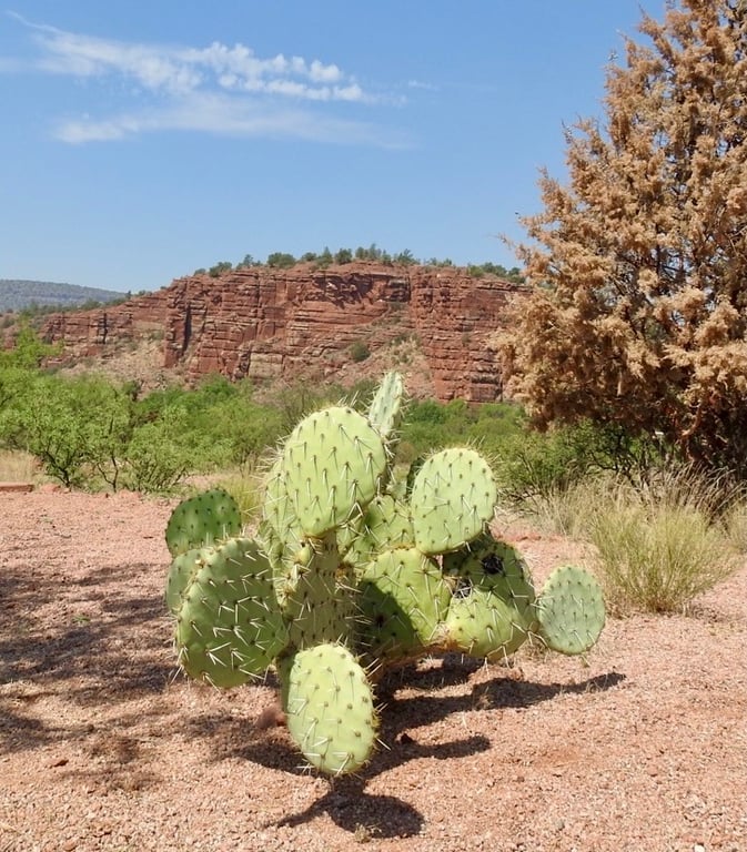 Red Rock State Park