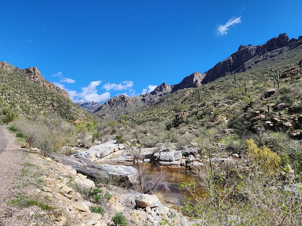 Sabino Canyon