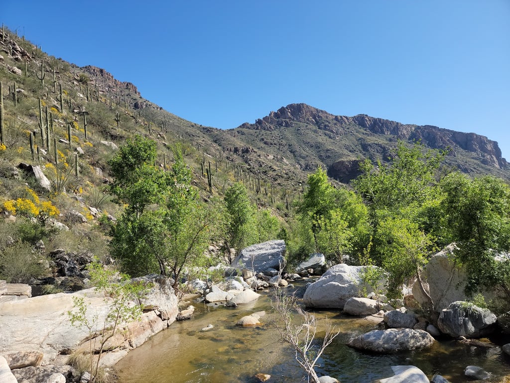 Sabino Canyon