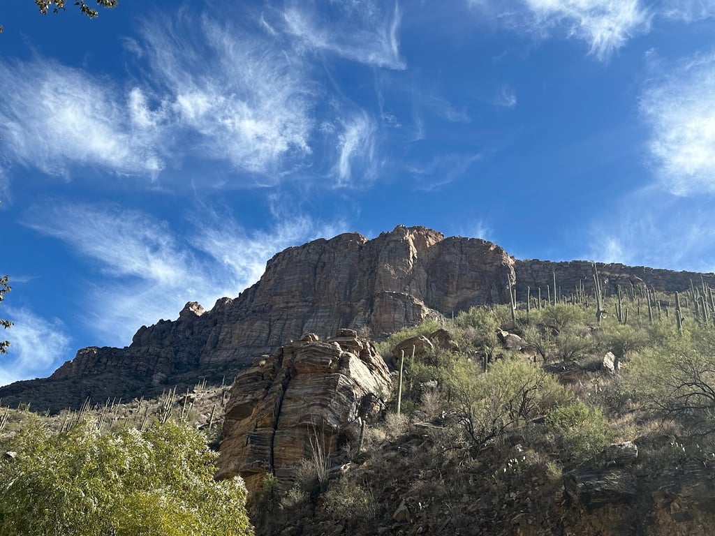 Sabino Canyon
