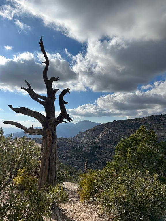 Windy Point Vista