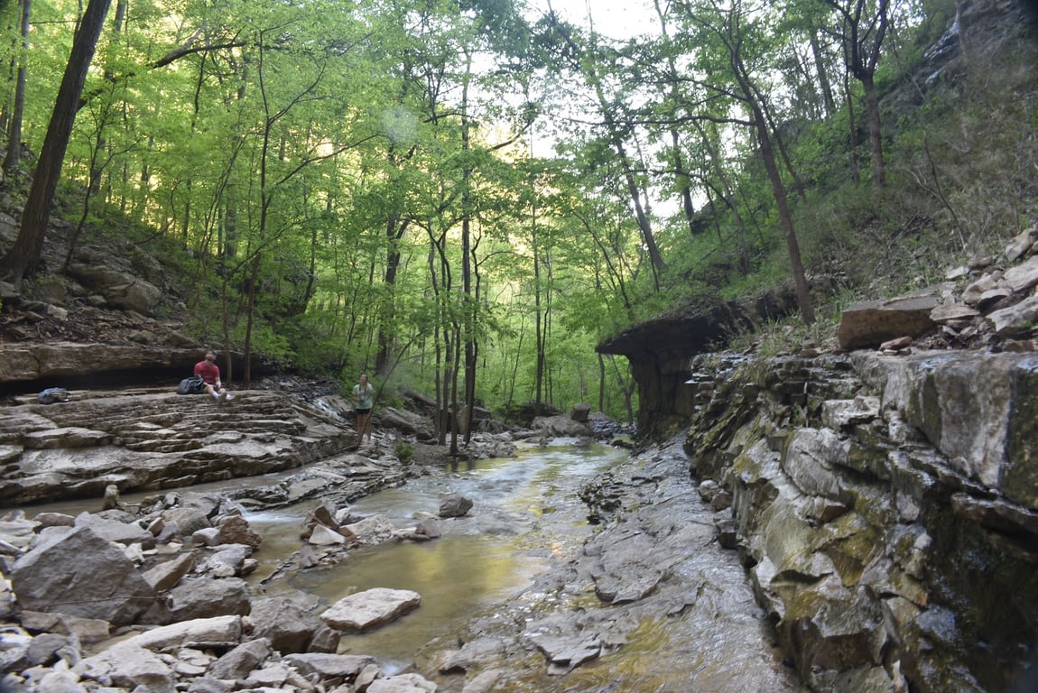 Barnes Hollow Falls