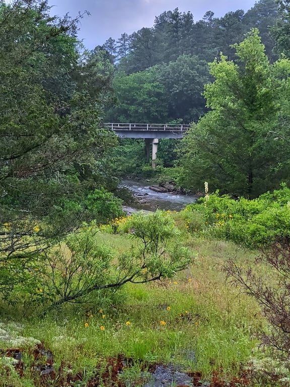 Cossatot River State Park