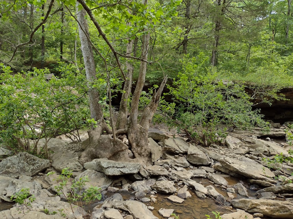 Falling Water Falls