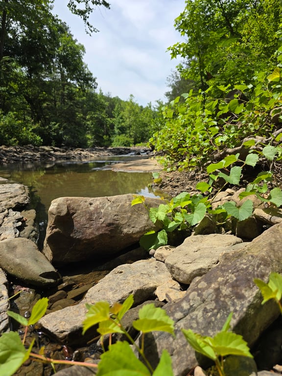 Falling Water Falls