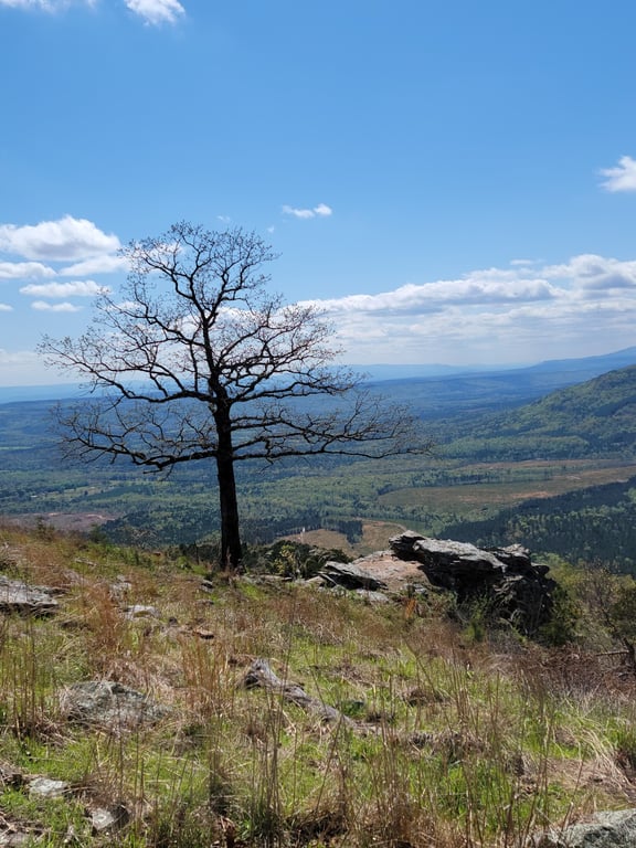 Mount Nebo Sunset Point