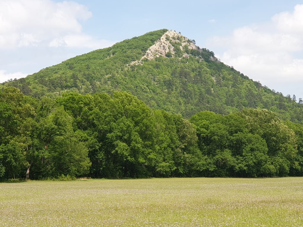 Pinnacle Mountain State Park