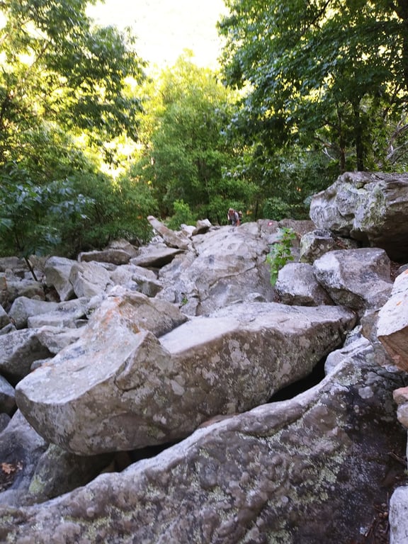 Pinnacle Mountain State Park
