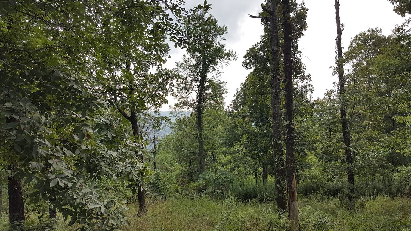 Rotary Ann Overlook