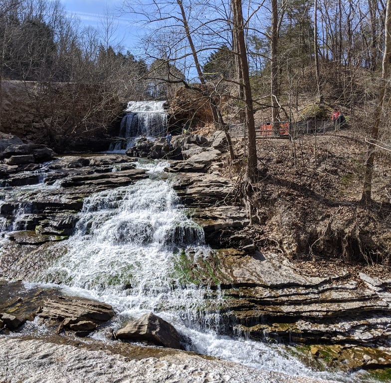 Tanyard Creek Nature Trail