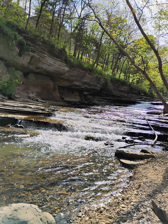 Tanyard Creek Nature Trail