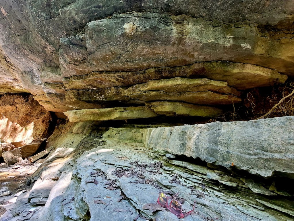 Tanyard Creek Nature Trail