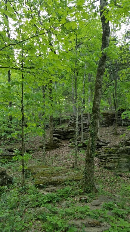 Thorncrown Chapel