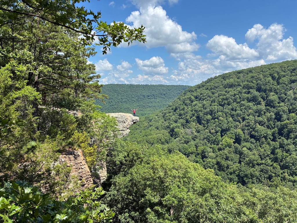 Whitaker Point