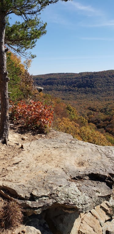 Whitaker Point