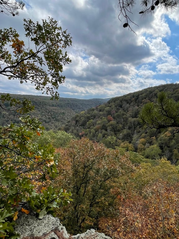 Whitaker Point
