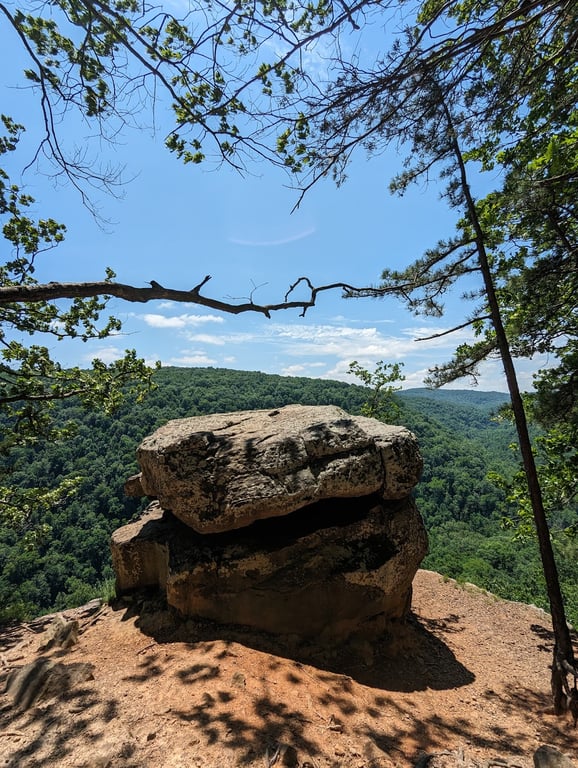 Whitaker Point