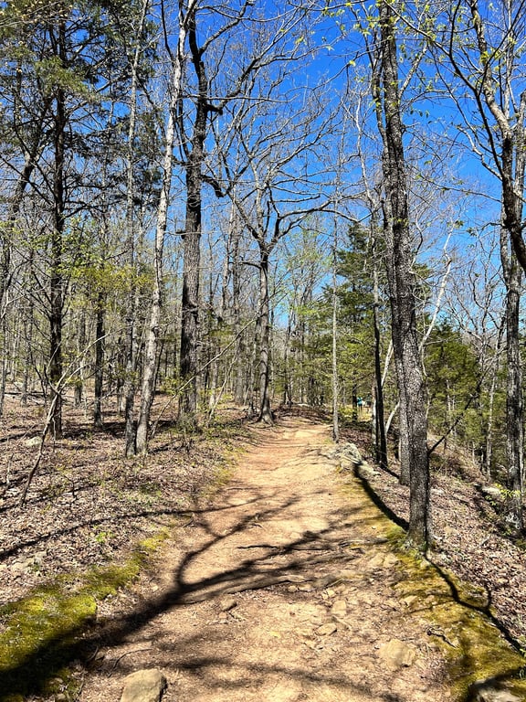 Yellow Rock Overlook