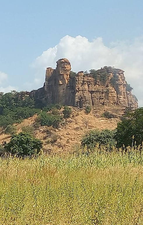 Arly National Park