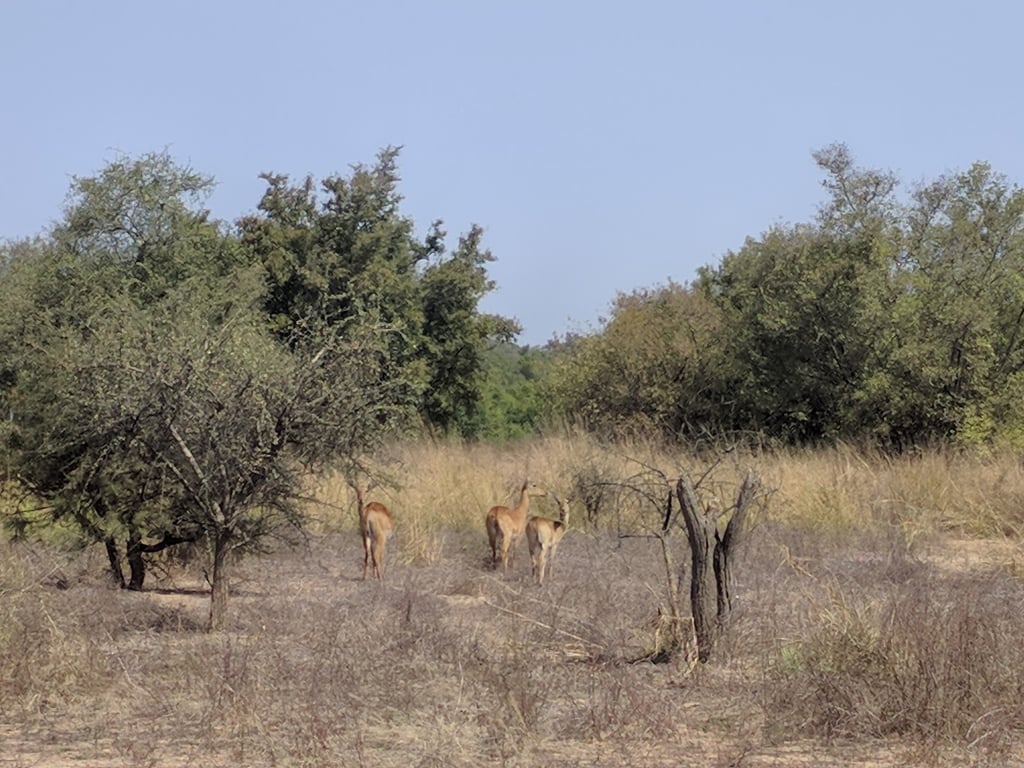 Arly National Park