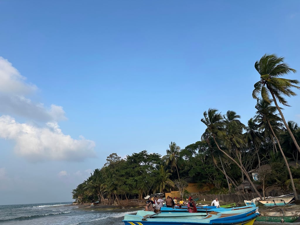Arugam Bay