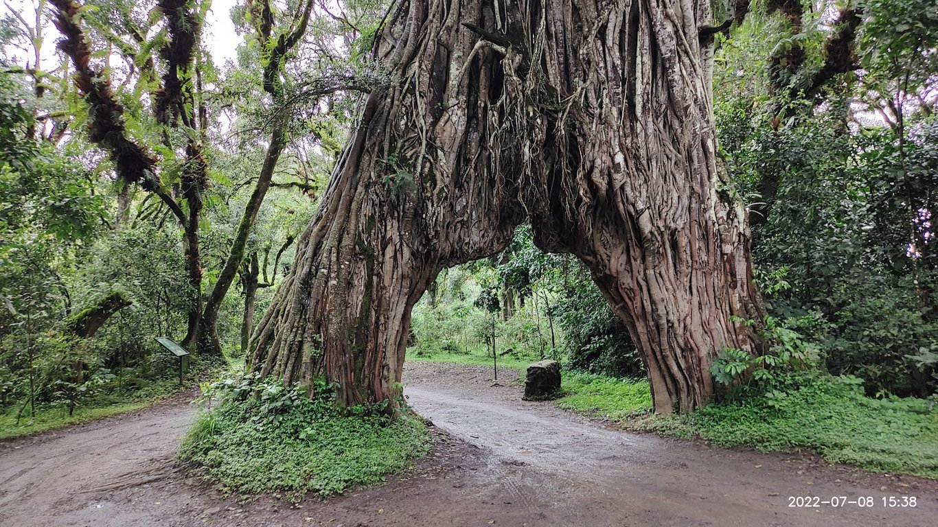 Arusha National Park