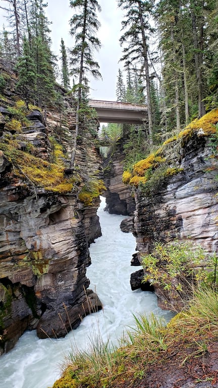 Athabasca Falls