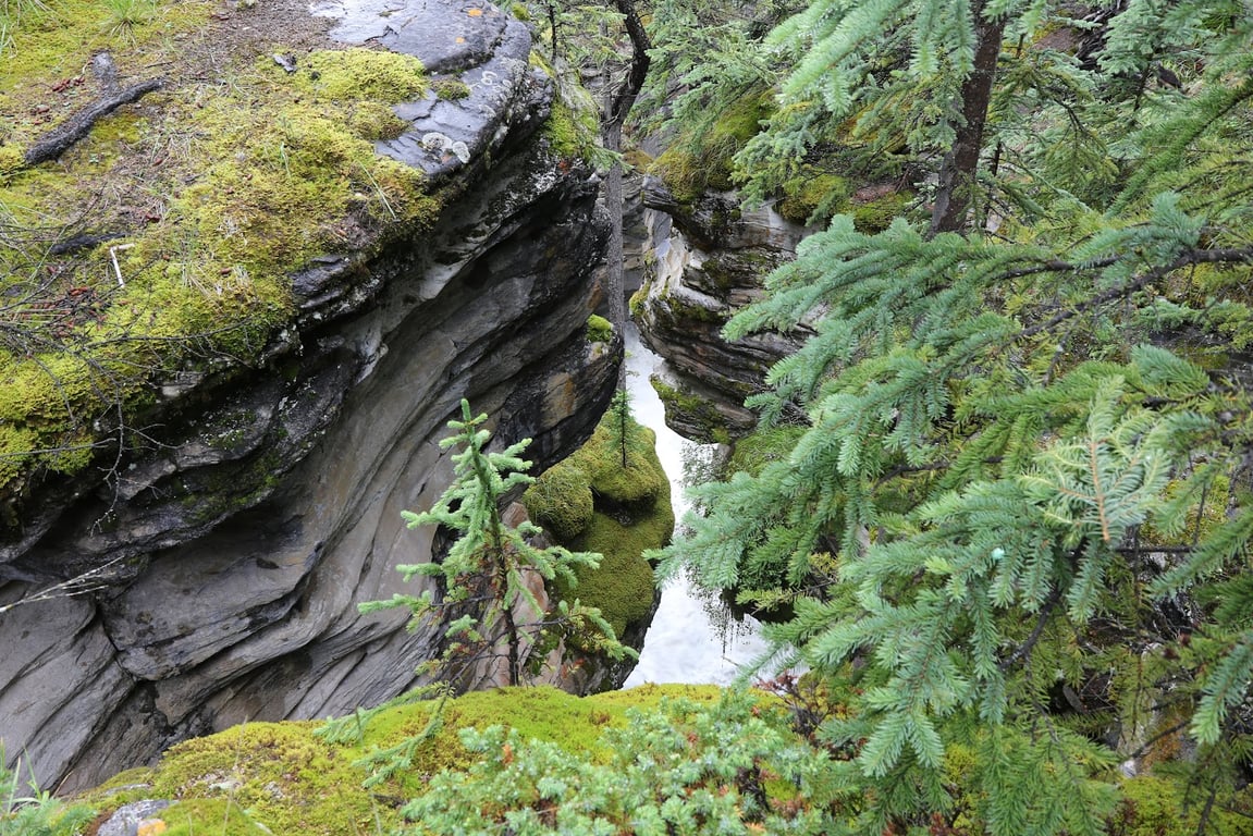 Athabasca Falls