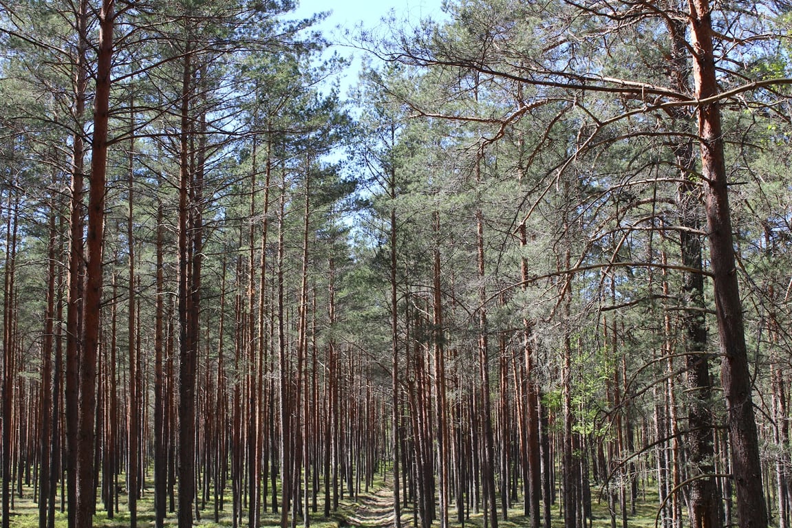 Aukštaitija National Park