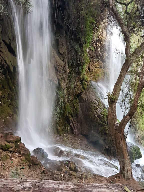 Saut-d’Eau Waterfalls