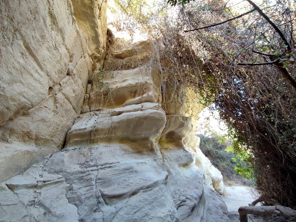 Avakas Gorge