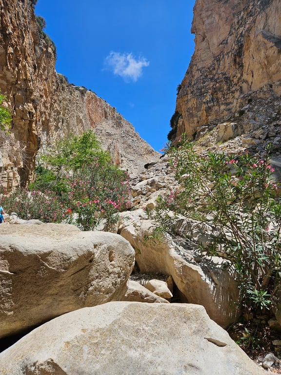 Avakas Gorge