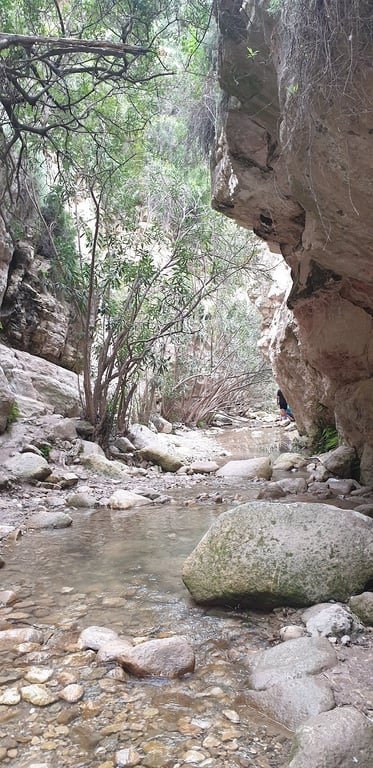 Avakas Gorge