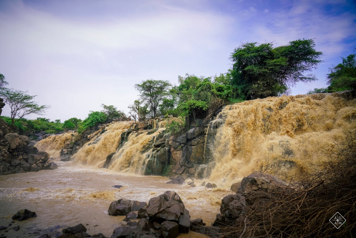 Awash National Park