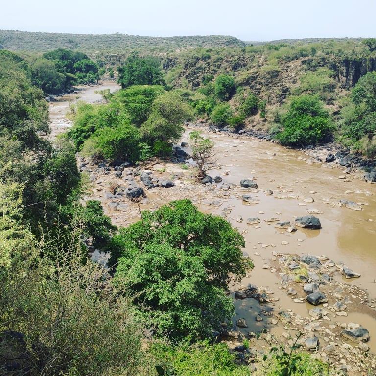 Awash National Park