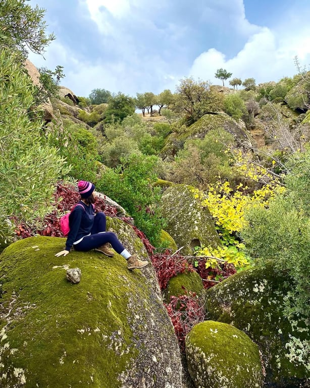 Bafa Gölü