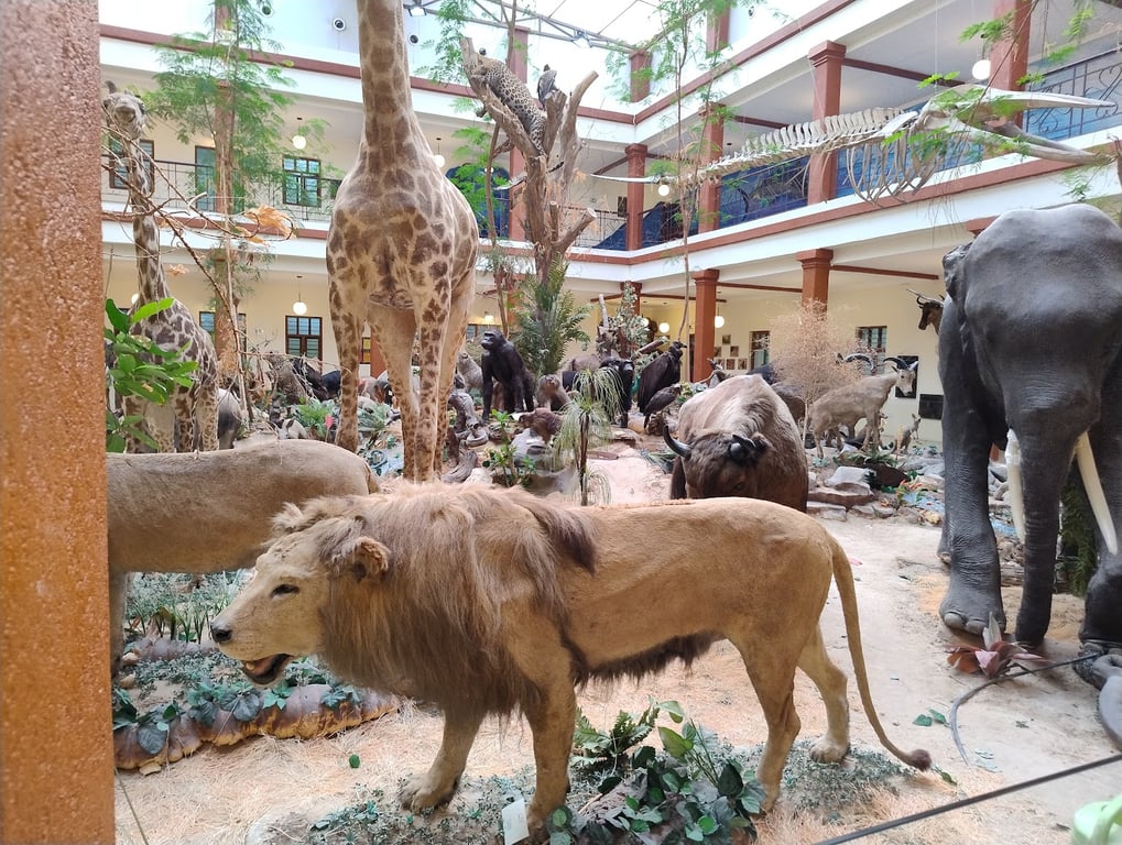 Bait Al-Othman Museum