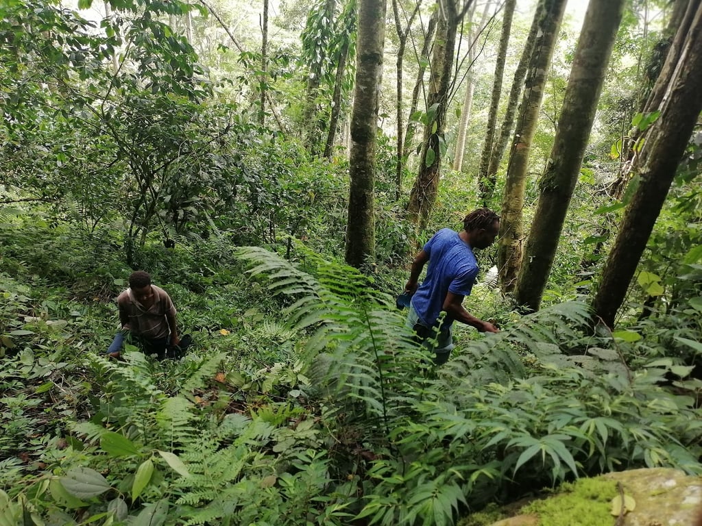 Baiyer River Sanctuary
