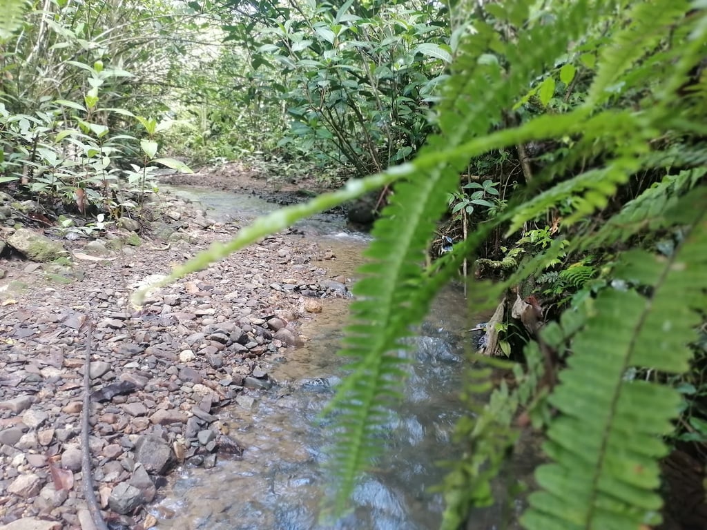 Baiyer River Sanctuary