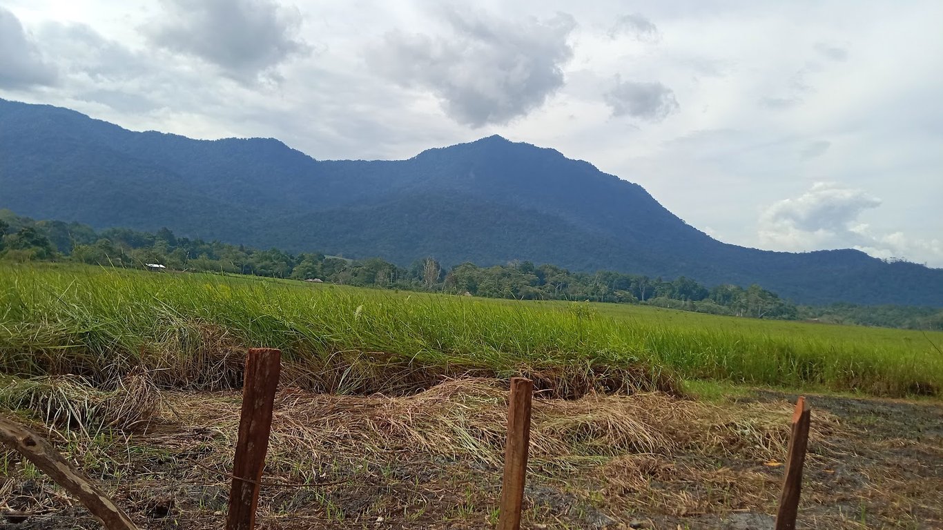 Baiyer River Sanctuary