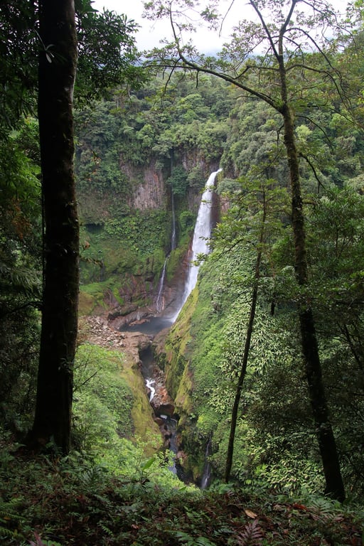 Bajos del Toro Waterfall