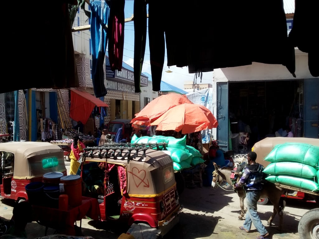 Bakara Market