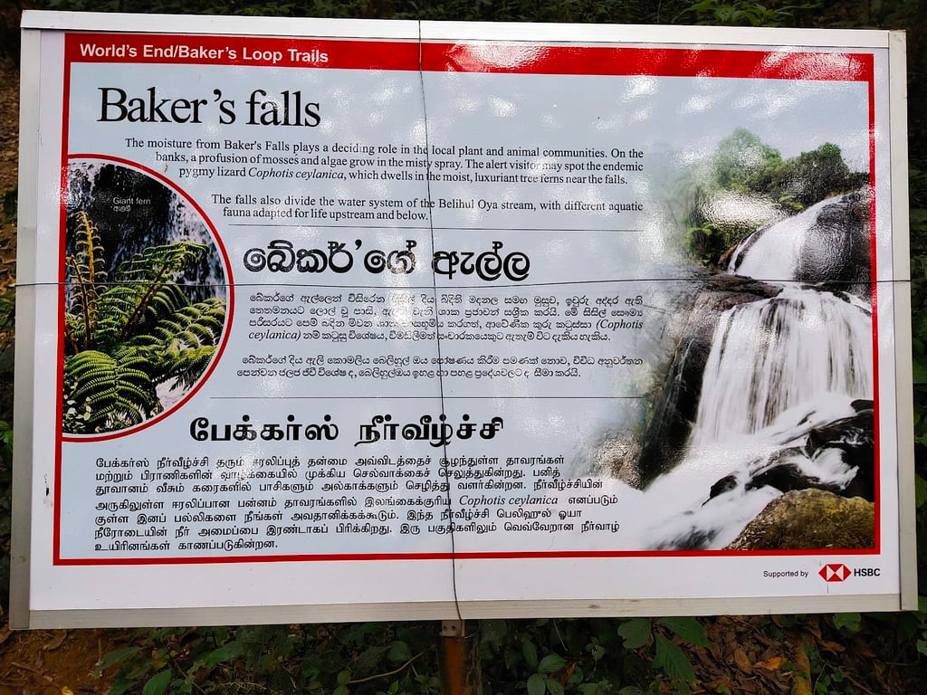 Bakers Falls