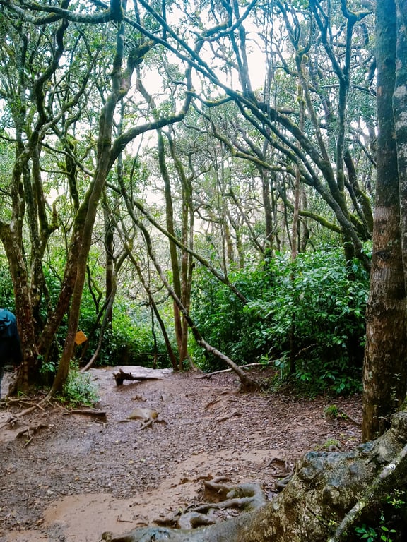 Bakers Falls