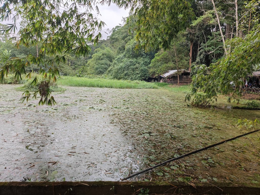 Banco National Park